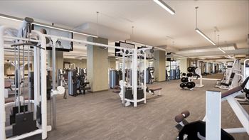 Free weights